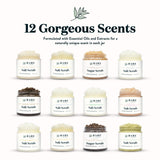 Bare Botanics Bergamot Mint Body Scrub 24oz | Made in Madison, WI | All Natural Sea Salt Exfoliator w/ Skin Loving Moisturizers | Vegan & Cruelty Free | Gift Ready Packaging w/ a Cute Wooden Spoon