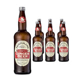 FENTIMANS Ginger Beer - Botanically Brewed Soft Drink - Exquisitely Crafted & Refreshing Soft Drinks - Gluten-Free and Vegan Friendly Soft Drinks - 6 x 750 ml Bottles