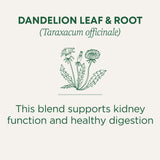 Traditional Medicinals Tea, Organic Dandelion Leaf & Root, Supports Kidney Function & Healthy Digestion, 16 Tea Bags