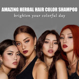 Natural Chestnut Brown Hair Color Shampoo,Instant Hair Dye Shampoo for Men & Women-3 in 1 Brown Hair Shampoo-Brown Shampoo Colors in Minutes-Long Lasting Brown Hair Dye(Chestnut Brown)