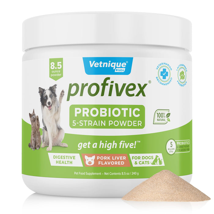 Vetnique Labs Profivex Probiotics for Dogs All Natural Dog Chews & Powder for Digestive Health Probiotic Supplements for Dogs 5 Strains of Probiotics & Prebiotics (Powder, 8.5oz)