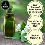 Naturevibe Botanicals Bhringraj Oil 32 Ounces | 100% Pure & Natural Cold Pressed | Hair Oil for Strong & Healthy Hair | Skin & Hair Nourishment (946 ml)