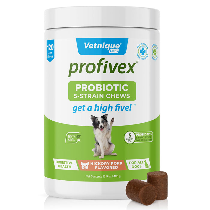 Vetnique Labs Profivex Probiotics for Dogs All Natural Dog Chews & Powder for Digestive Health Probiotic Supplements for Dogs 5 Strains of Probiotics & Prebiotics (Soft Chews, 120ct)