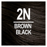 Naturtint Permanent Hair Color 2N Brown Black (Pack of 6), Ammonia Free, Vegan, Cruelty Free, up to 100% Gray Coverage, Long Lasting Results