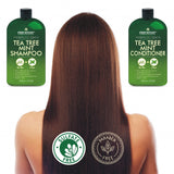 Tea Tree Mint Shampoo and Conditioner - Pure Tea Tree Oil & Peppermint Oil - Fights Hair Loss, Promotes Hair Growth, Fights Dandruff, Lice & Itchy Scalp - for Men and Women Sulfate Free - 16 fl oz x 2