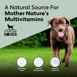 Four Leaf Rover: Guts & Glory - 100% Grass-Fed Raw Beef Organs for Dogs - 10 to 45 Day Supply, Depending on Dog’s Weight - Easy to Mix - Vet Formulated - for All Breeds