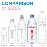 Evian Natural Spring Water, 1 L bottles, 6 pack