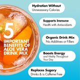 Yes You Can! Organic Aloe Vera Powder Drink Mix - Hydration Booster Infused with Pure Aloe Juice - Delicious Flavors - Made in USA - Antioxidant Rich - Peach Lemonade Flavor - 40 Servings Per Canister (2 Pack)