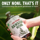 Healing Noni - Raw Organic Noni Juice - 1 Pack of 32oz