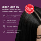 Madison Reed Root Perfection Permanent Root Touch Up, Black 3N Corato, 10 Minutes for 100% Gray Root Coverage, Ammonia-Free Hair Dye, Two Applications