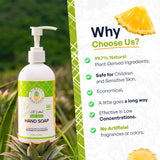 Plant-Based Pineapple Enzyme & Soapberry Liquid Hand Soap - Tangerine-Pineapple Scent, 4-Pack (10.14 fl oz Each) | Gentle on Skin | Eczema-Friendly | No Artificial Fragrances or Colors | Cruelty-Free