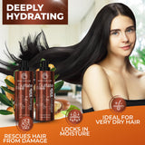 Moroccan Argan Oil Shampoo and Conditioner Set - Sulfate Free, Anti Frizz Hydrating Care for Women - Deep Moisturizing Treatment for Color, Keratin Treated, Curly, Damaged and Dry Hair