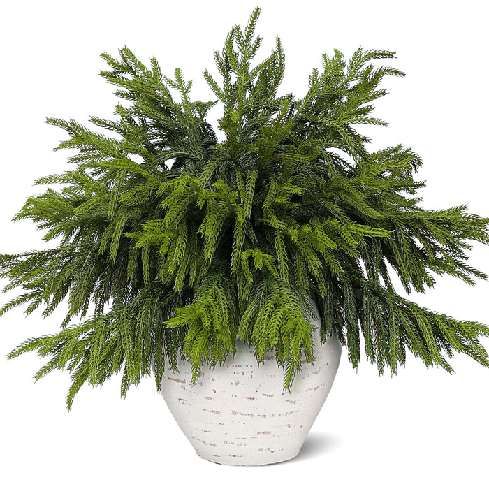 Juxdp 20 Pcs Real Touch Norfolk Pine Branches, Artificial Christmas Green Plants Branch Faux Greenery Stem Fake Pine Picks for Vase DIY Crafts Garland Wreath Xmas Indoor Outdoor Decor(18 Inches)