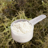 Kappa Carrageenan Powder | Food Grade Natural Thickener Substitute for Gelatin - Kosher ( 14 Oz)