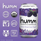 Humm Kombucha Blackberry - Organic, Vegan & GMO-Free (12 Pack)