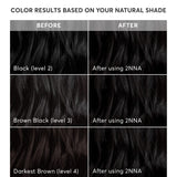 Madison Reed Radiant Hair Color Kit, Blackest Black for 100% Gray Coverage, Ammonia-Free, 2NNA Pescara Black, Permanent Hair Dye, Pack of 2