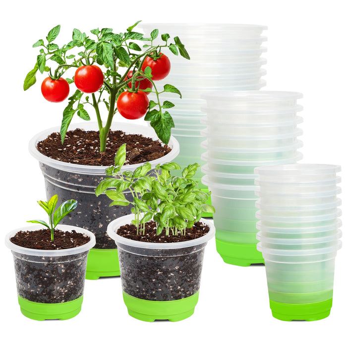 MIXC Thickened Clear Nursery Pots with Silicone Base for Easy Transplant 24 Packs 5/4/3.5 Inch, Variety Pack Plant Pot Reusable Seedling Pots for Vegetable Propagation, Root Cutting, Seed Starting