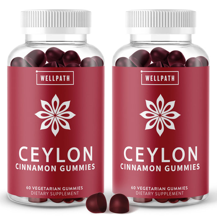 WellPath Ceylon Cinnamon Gummies 2-Pack | Sugar Free | Antioxidants | Joint Support | Non-GMO, Vegan, Gluten Free | 120 Ct