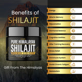 Pure Himalayan Shilajit Resin – 600mg Organic Shilajit with 85 Trace Minerals – Authentic, Lab-Tested Formula – Golden Grade Supplement for General Wellness – 1 Pack