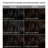 Madison Reed Radiant Hair Color Kit, Darkest Golden Brown for 100% Gray Coverage, Ammonia-Free, 4NGV Venezia Brown, Permanent Hair Dye, Pack of 1