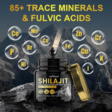 softbear Shilajit Resin 60g Pure Shilajit for Men Women, Himalayan Shilajit Supplement with 85+ Trace Minerals & Fulvic Acid Shilajit Resin Organic for Energy Immune Support