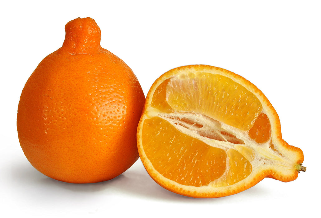 TANGELOS MINNEOLA ORANGES CALIFORNIA GROWN FRESH FRUIT PRODUCE PER POUND