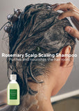 AROMATICA Rosemary Scalp Scaling Trial Kit - Travel Size Shampoo and Scalp Treatment with Mini Wooden Brush