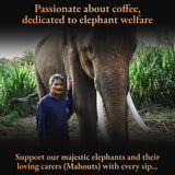 BLACK IVORY COFFEE Mahout's Blend - An Exquisite Blend of The World's Most Expensive Coffee, Elephant Refined Low Acid Coffee and Medium Roast Arabica Coffee Beans, Luxury Coffee Lovers Gifts