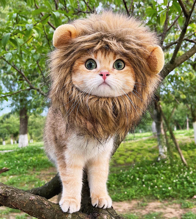 RosyLife Lion Mane Wig for Cat Costume Pet Adjustable Washable Comfortable Fancy Lion Hair Cat Clothes Dress for Halloween Christmas Easter Festival Party Activity (Small, Brown)