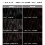 Madison Reed Radiant Hair Color Kit, Soft Black for 100% Coverage of Resistant Gray Hair, Ammonia-Free, 2.5NNN Parma Black, Permanent Hair Dye, Pack of 2