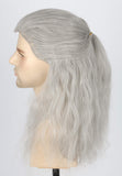 Topcosplay Long Curly Grey Wig for Men Cosplay Wig for Halloween Fancy Dress Party (Grey)