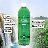 Chlorophyll Water Plant Based Vitamin Water w/Chlorophyll Liquid | Antioxidants, Detox Water, Immune Support, Energy Boost | Liquid Chlorophyll, Mineral Water, Vitamins A,B,C,D | Zero Calories 6pk