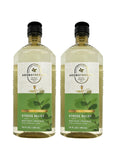 Bath and Body Works 2 Pack Aromatherapy Stress Relief Eucalyptus & Spearmint Shower Gel. 10 Oz.