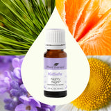 Plant Therapy KidSafe Nighty Night Essential Oil Blend for Sleep 10 mL (1/3 oz) 100% Pure, Undiluted, Natural Aromatherapy, Therapeutic Grade