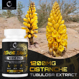 Cistanche Tubulosa Extract -1200mg per Serving,50% Echinacoside,10% Acteoside,Natural Energy Supplement for Strength,Performance,Vitality -Vegan,Gluten Free