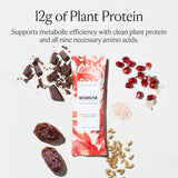 Sakara Sea Salt Chocolate Protein Bar – 12g Plant-Based Protein – Clean & Delicious Snack – 1 Box of Protein Bars