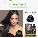 Herbishh Hair Color Shampoo for Gray – Magic Dye Colors in Minutes–Long Lasting–500 Ml–3-In-1 Color–Ammonia-Free (Black)