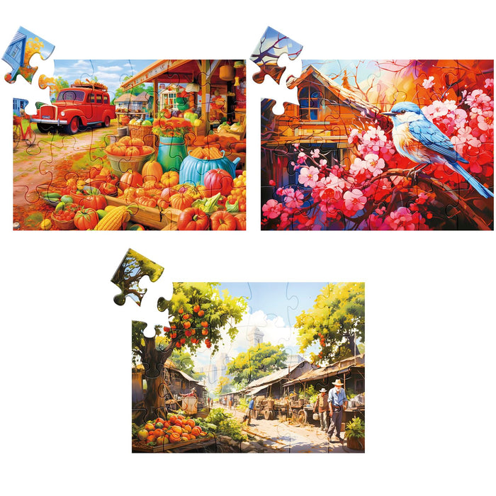 24 Large Piece Puzzles for Seniors Wooden Puzzle Dementia Alzheimer's Products and Activities for Elderly Seniors Easy Puzzle for Adults Bird Car Farm Jigsaw Puzzle Memory Cognitive Gift for Elderly