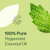 Plant Therapy Peppermint Essential Oil 100 mL (3.3 oz) 100% Pure, Undiluted, Natural Aromatherapy for Diffuser & Topical Use, Digestion, Respiratory, & Massage, Peppermint Oil for Skin & Hair
