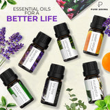 Essential Oils by PURE AROMA 100% Pure Oils Kit- Top 6 Aromatherapy Oils Gift Set-6 Pack, 10ml(Eucalyptus, Lavender, Lemongrass, Sweet Orange, Peppermint, Tea Tree)