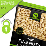 NUT CRAVINGS - Raw Pine Nuts Pignolias, Unsalted, Shelled, (16oz - 1 LB) Bulk Nuts Packed Fresh in Resealable Bag Kosher Healthy Snack, Natural Keto Vegan - Ideal for Trail Mixed Nuts