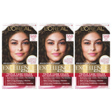 L'Oreal Paris Excellence Creme Permanent Hair Color, 5AB Mocha Ash Brown, 100 percent Gray Coverage Hair Dye, Pack of 3