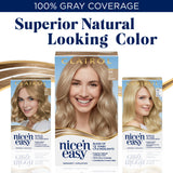 CLAIROL Nice'n Easy Permanent Hair Dye, SB2 Ultra Light Cool Blonde Hair Color, Pack of 1