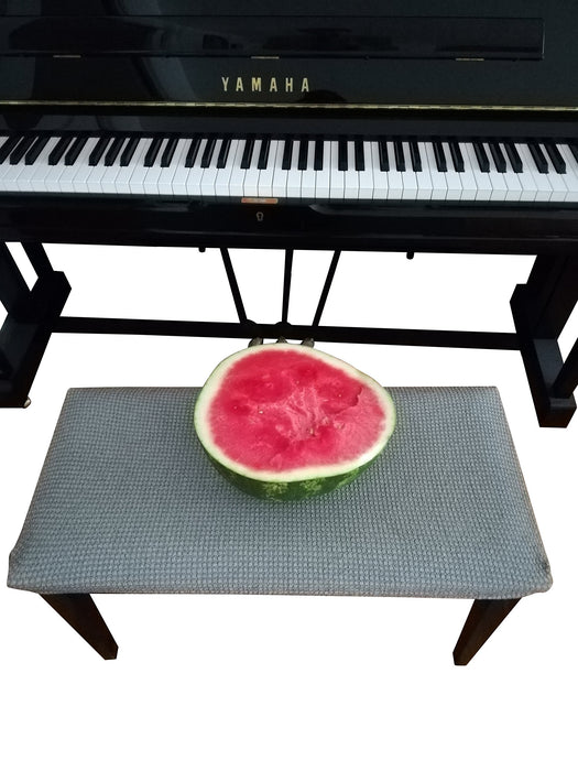 Qualitrusty Waterproof Piano Bench Cover Protector - Perfect for Pets, Kids, Elderly, Wedding, Party - Machine Washable, Elastic, Removable,Many Color Choices, Clean The Mess Easily(Grey)