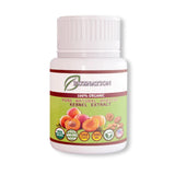 APRICOT Seed Bitter Extract Kernels B17 Vitamins Rich Non-GMO Organic 1x 500mg