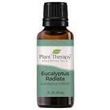 Plant Therapy Eucalyptus Radiata Essential Oil 30 mL (1 oz) 100% Pure, Undiluted, Therapeutic Grade