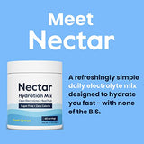 Nectar Sugar Free Electrolytes Powder - Organic Fruit No Sugar or Calories - Hydration Powder for Dehydration & Hangover Relief and Rehydration - Keto and Paleo (Strawberry Lemonade 40 Serving Tub)