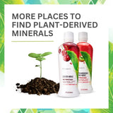 Youngevity Plant Derived Minerals Multi-Mineral Complex | Made from Humic Shale | Liquid Colloidal Form | 1 Bottle