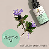 Gaia Body Care 5% Bakuchiol Oil Organic - (1ounce) - Anti Aging, Antiwrinkle, Reduces Fine Lines, Smooths Skin, Hydrates - Plant Based Bakuchiol Serum - Best Retinol Alternative Facial Oil (Rose)