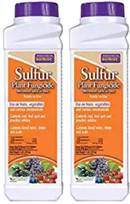 BONIDE Product 141 Sulfur Plant Fungicide, 1 Pound (2)
